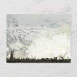 Elk at Grand Teton National Park Photography Postcard