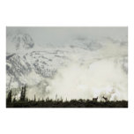 Elk at Grand Teton National Park Photography Poster