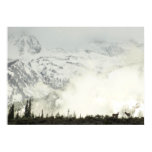 Elk at Grand Teton National Park Photography Poster