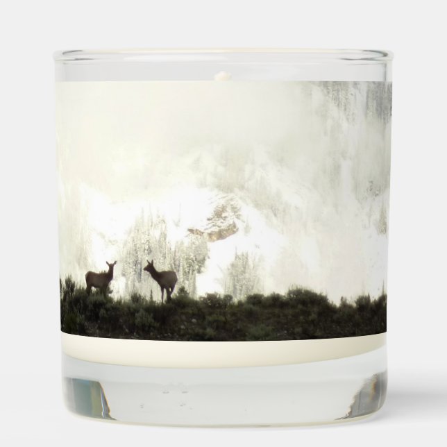 Elk at Grand Teton National Park Photography Scented Candle (Back)