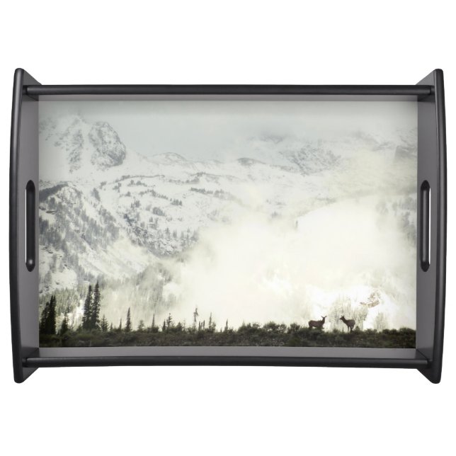 Elk at Grand Teton National Park Photography Serving Tray (Front)