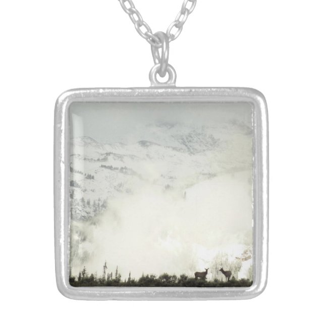 Elk at Grand Teton National Park Photography Silver Plated Necklace (Front)