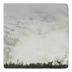 Elk at Grand Teton National Park Photography Trivet