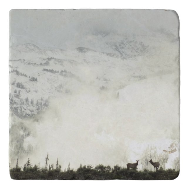 Elk at Grand Teton National Park Photography Trivet (Front)