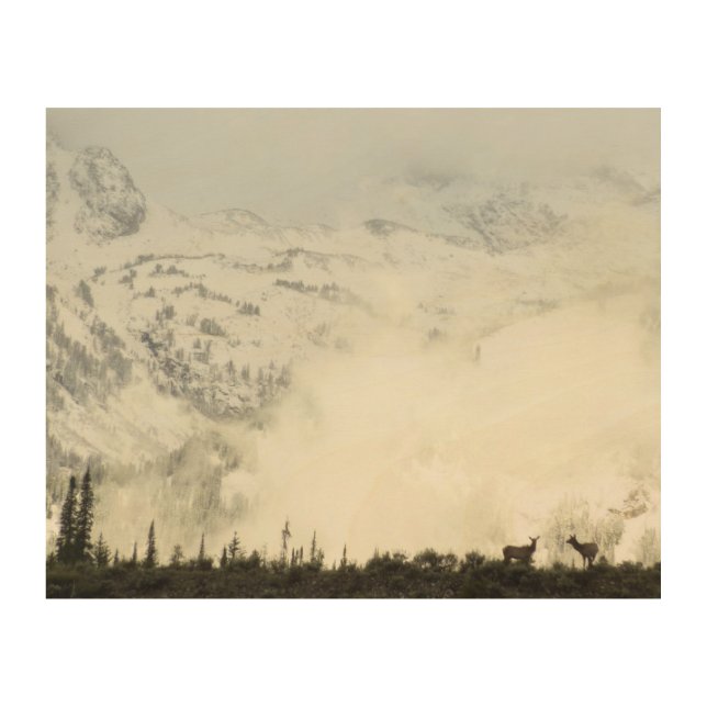 Elk at Grand Teton National Park Photography Wood Wall Art (Front)