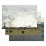 Elk at Grand Teton National Park Photography Wrapping Paper Sheets