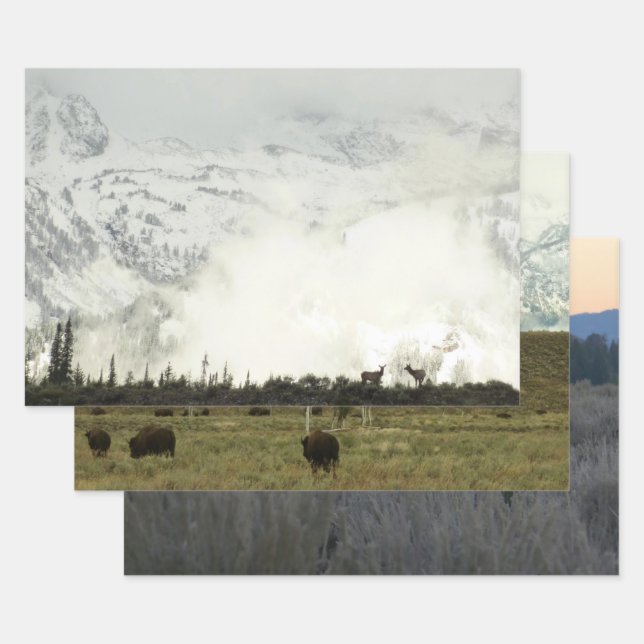 Elk at Grand Teton National Park Photography Wrapping Paper Sheets (Set)