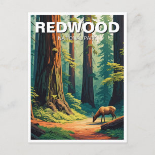 Elk at Redwood National Park Souvenir Postcard