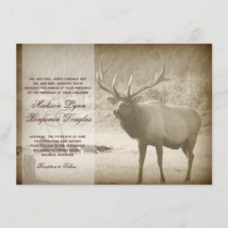 Elk Big Game Wildlife Antlers Wedding Invitations