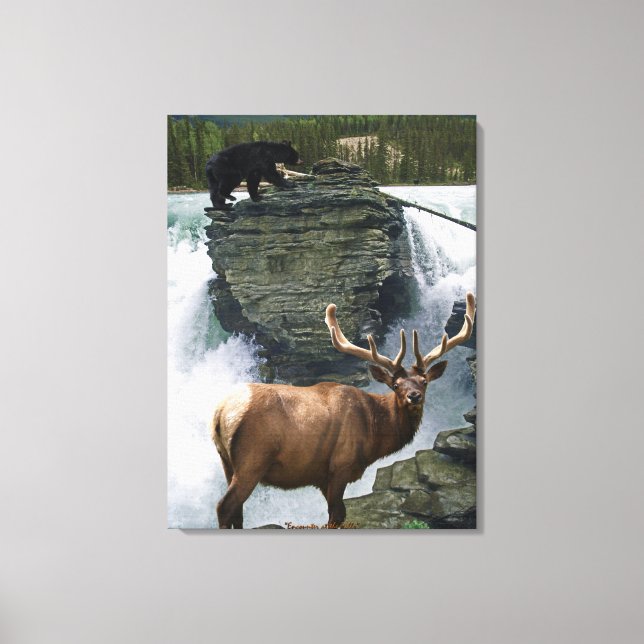 Elk & Black Bears Wildlife Art Wall Print (Front)