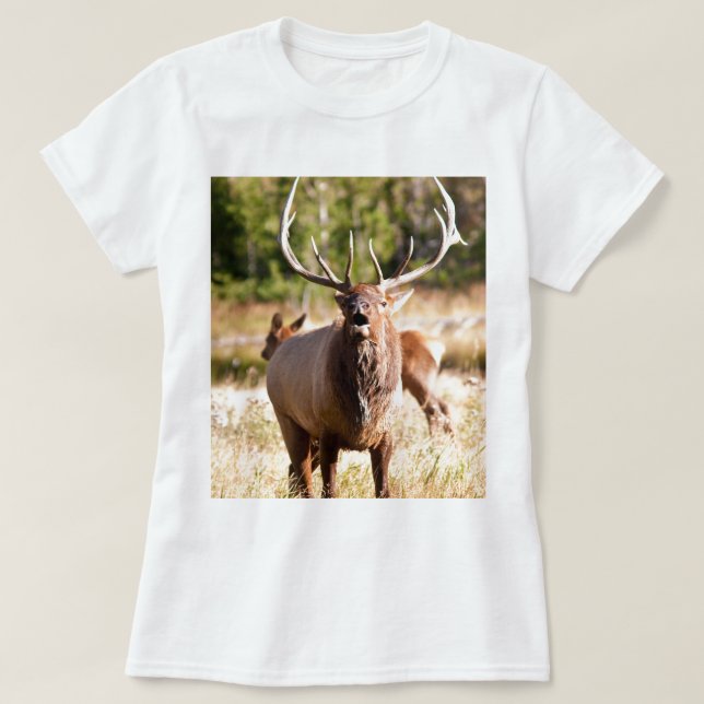Elk Bugling T-Shirt (Design Front)