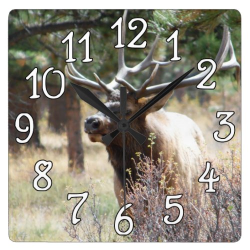 Elk Bull Buck Deer Mancave Wall Clock