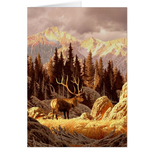 Elk Bull Cards (Front)