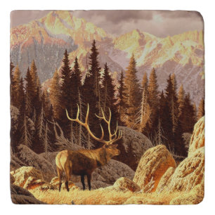 Elk Bull Trivet