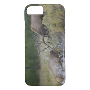 Elk Bulls fighting, Yellowstone NP, Wyoming iPhone 8/7 Case