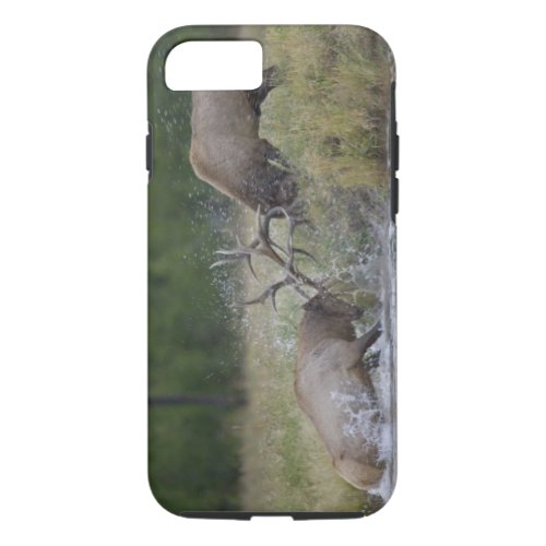 Elk Bulls fighting Yellowstone NP Wyoming iPhone 87 Case