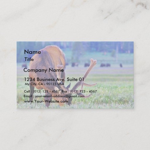 Customizable Elk Business Card