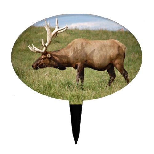 Elk Cake Topper