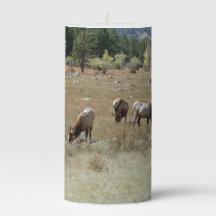 Elk candle