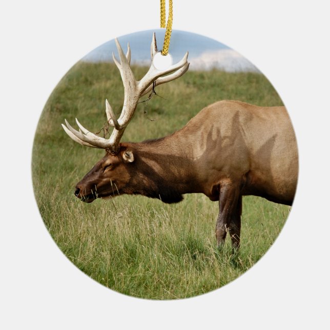 Elk Ceramic Ornament (Front)