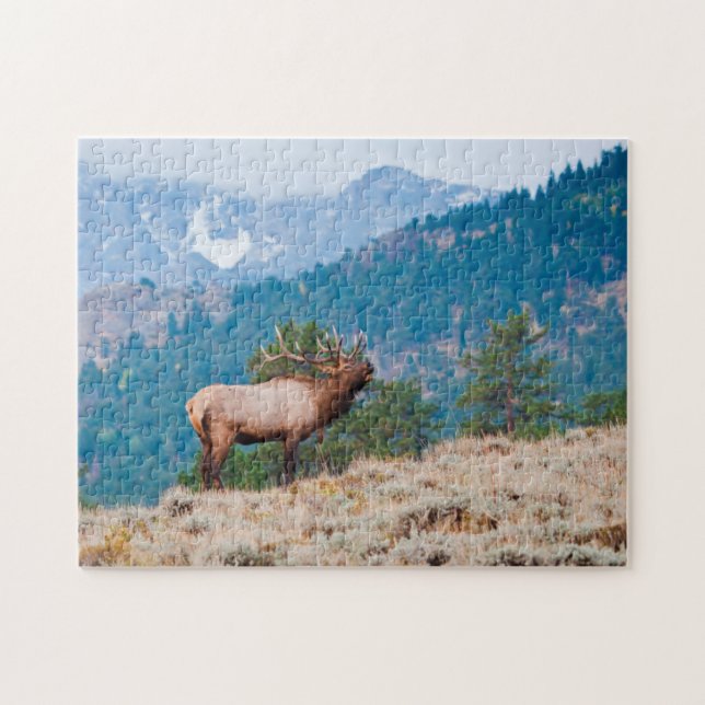 Elk (Cervus Elephus) Bull Bugling Jigsaw Puzzle (Horizontal)
