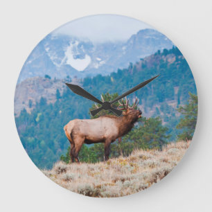 Elk (Cervus Elephus) Bull Bugling Large Clock