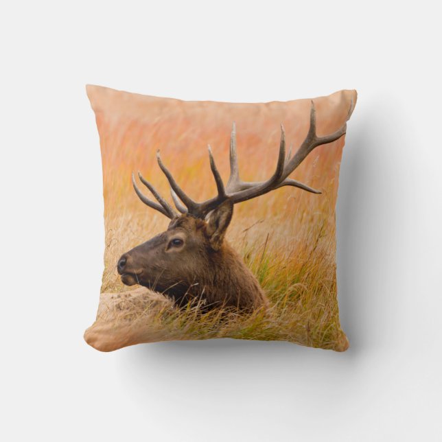 Elk (Cervus Elephus) Resting In Meadow Grass Throw Pillow (Front)