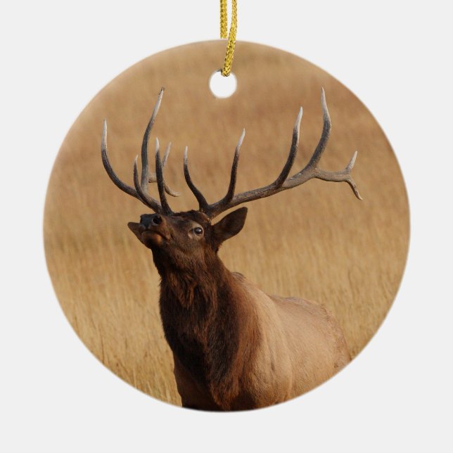 elk charging ceramic ornament (Front)