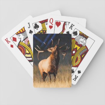 Elk Charging Playing Cards by WorldDesign at Zazzle
