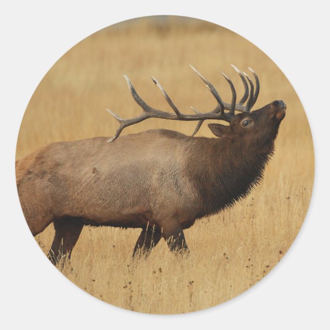 elk classic round sticker (Front)