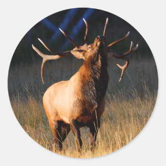 elk classic round sticker