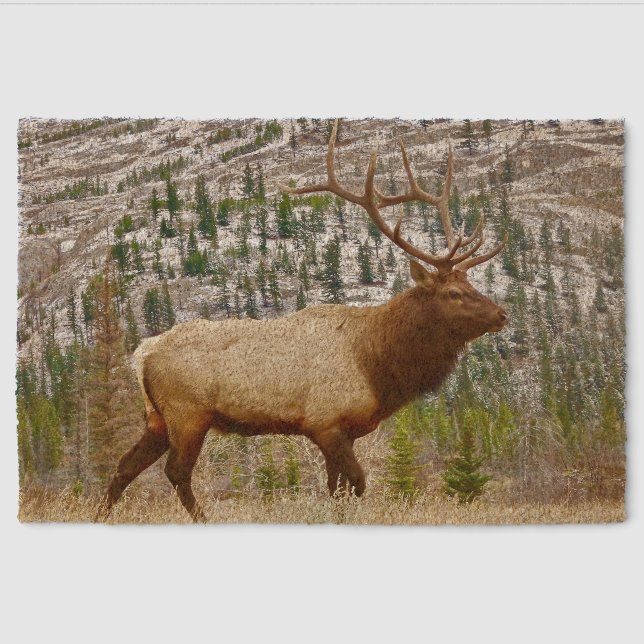 Elk Coir Mat (Front)