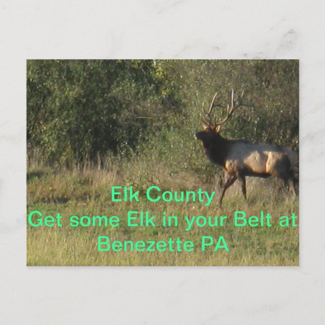 Elk County Benezette PA Postcard (Front)