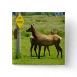 Elk Crossing California Wildlife Button
