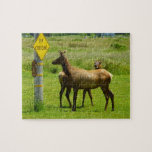 Elk Crossing California Wildlife Jigsaw Puzzle