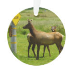 Elk Crossing California Wildlife Ornament