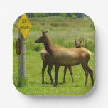 Elk Crossing California Wildlife Paper Plates