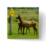 Elk Crossing California Wildlife Photography Button