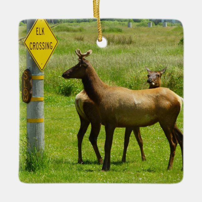 Elk Crossing California Wildlife Photography Ceramic Ornament (Front)