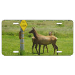 Elk Crossing California Wildlife Photography License Plate