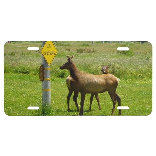 Elk Crossing California Wildlife Photography License Plate (Front)