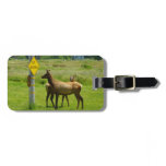 Elk Crossing California Wildlife Photography Luggage Tag