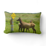 Elk Crossing California Wildlife Photography Lumbar Pillow
