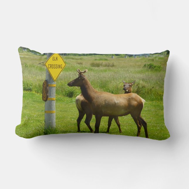 Elk Crossing California Wildlife Photography Lumbar Pillow (Front)