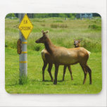 Elk Crossing California Wildlife Photography Mouse Pad