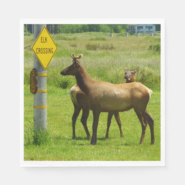 Elk Crossing California Wildlife Photography Napkins (Front)