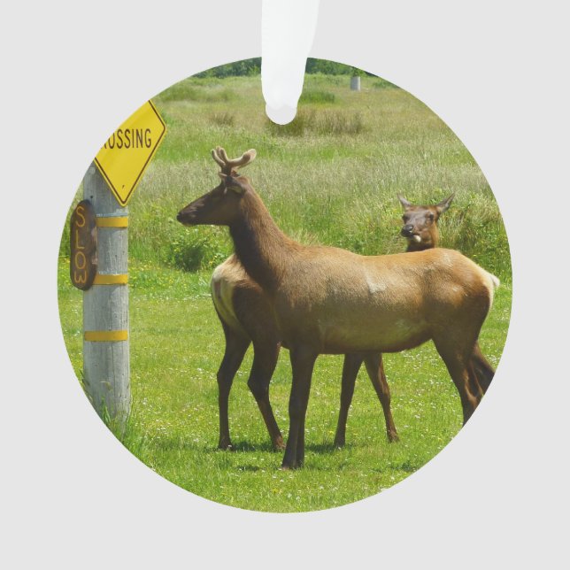 Elk Crossing California Wildlife Photography Ornament (Front)