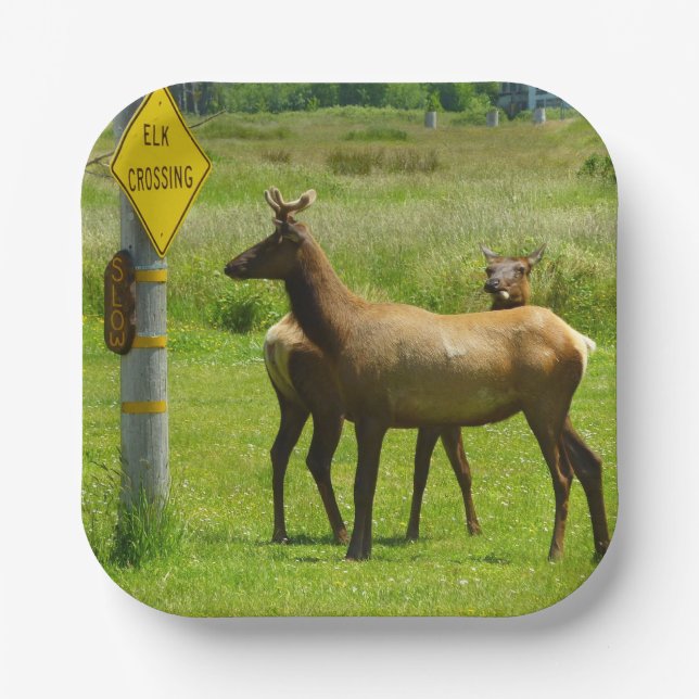 Elk Crossing California Wildlife Photography Paper Plates (Front)