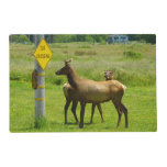 Elk Crossing California Wildlife Photography Placemat