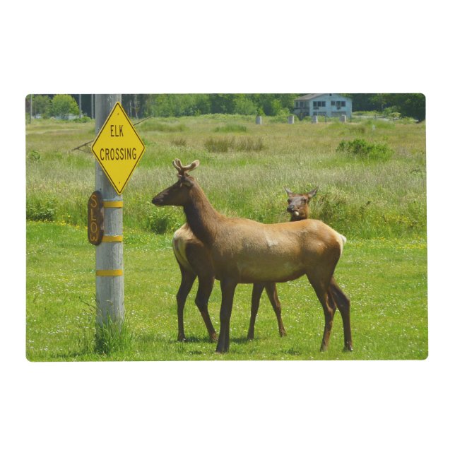 Elk Crossing California Wildlife Photography Placemat (Front)